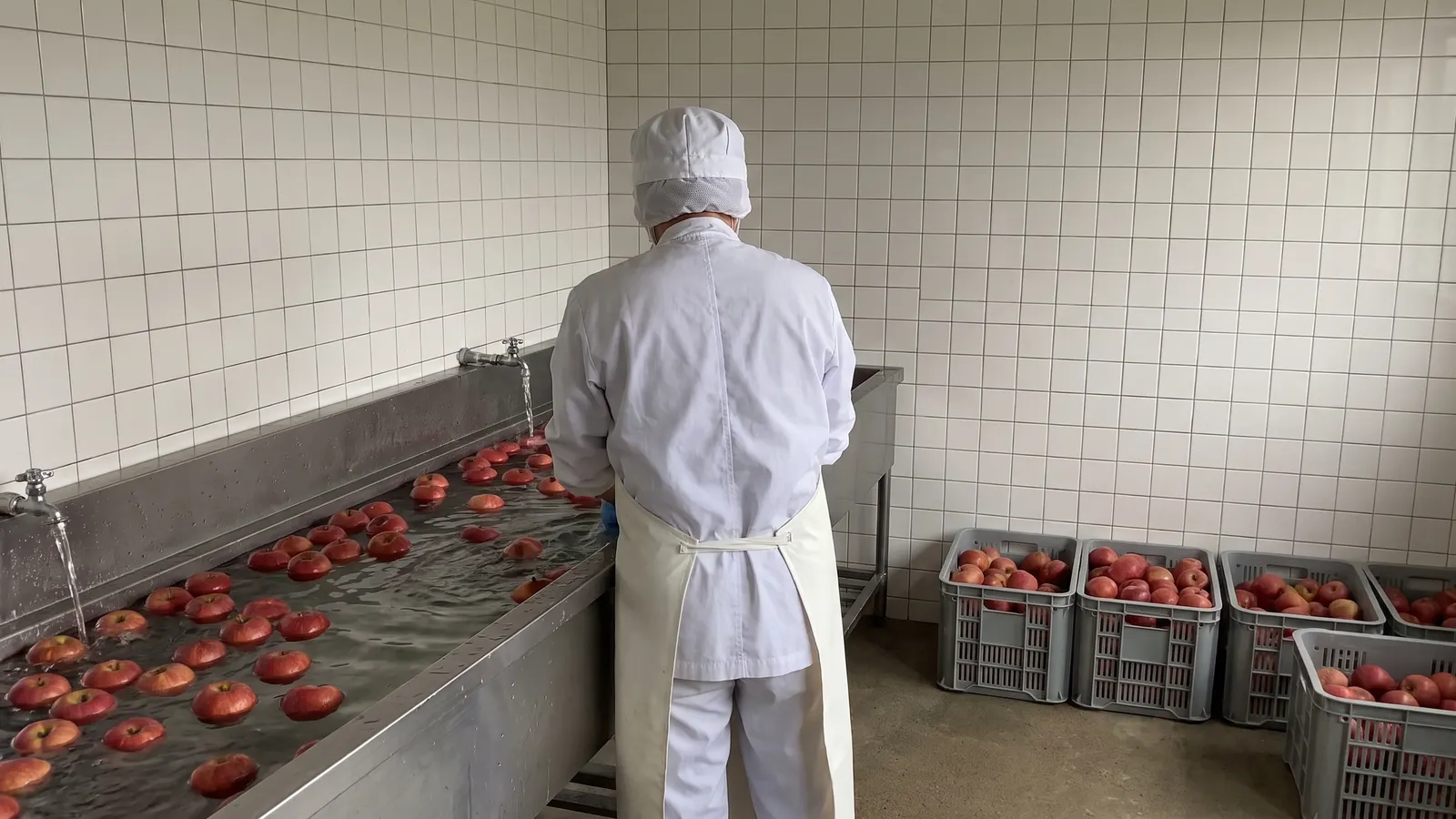 りんごの入った箱が並ぶ加工所と、りんごを洗う作業員の後ろ姿